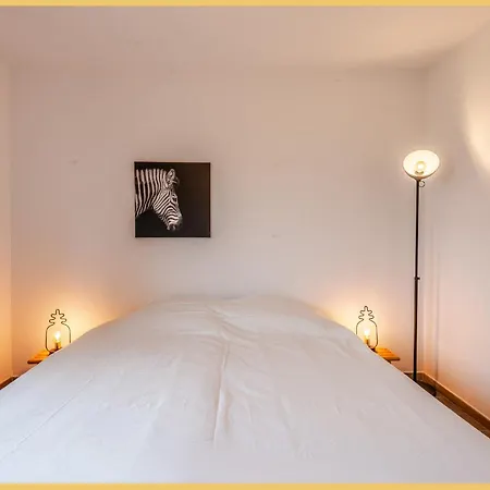 T3 I Cozy I