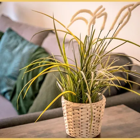Apartamento T3 I Cozy I *