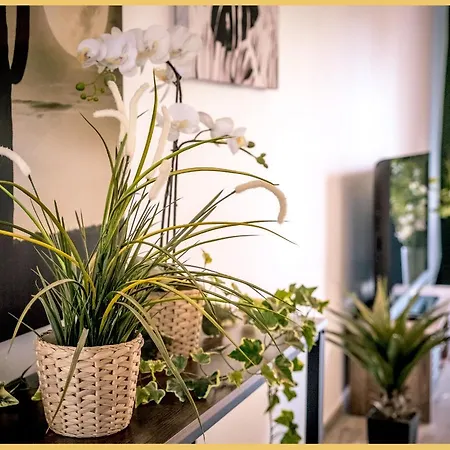 T3 I Cozy I Apartamento *